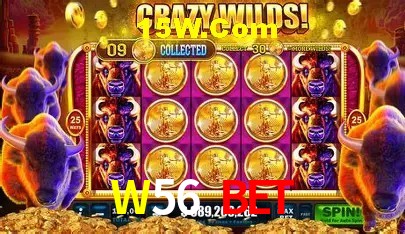 Jackpots e promoções na W56 Bet